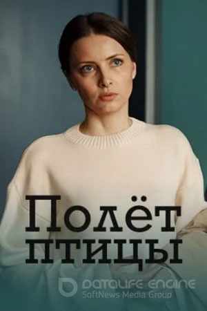 Полёт птицы